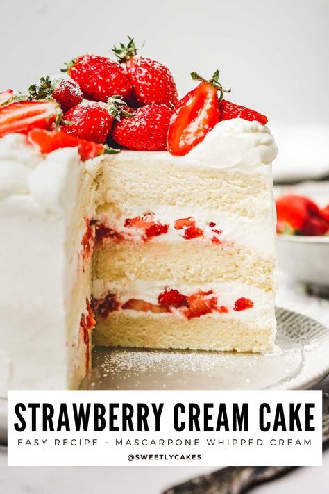 Strawberry Whipped Cream Cake, Vanilla Chiffon Cake, Whipped Cream Cake, Homemade Strawberry Cake, Strawberry Vanilla Cake, Strawberry Cake Filling, Strawberry Cake Easy, Whipped Cream Cakes, Fresh Strawberry Cake