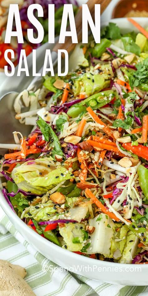 This Asian style salad recipe is a family favorite. It is made with a romaine lettuce base, topped with red cabbage, cilantro, sesame toasted almonds, green onions, and an assortment of crunchy veggies! Finished with an Asian chopped salad dressing this healthy meal is so easy to make and so fun to eat! #spendwithpennies #asianchoppedsalad #salad #asiansalad #choppedsalad #saladrecipe #freshsalad #crunchy Healthy Salad Recipes Vegan, Thai Chopped Salad Recipes, Elite Salad, Fancy Salad Recipes, Cold Entrees, Mozzarella Rolls, Asian Style Salad, Chopped Salad Dressing, Asian Chopped Salad