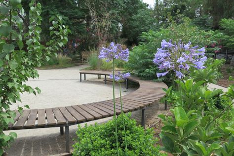 Therapeutic Garden Design in Chile – The Field Wellness Garden Design, Therapeutic Garden Design, Community Garden Design, Healing Garden Design, Community Park Design, City Parks Design, Therapeutic Garden, Hospital Garden, Therapy Garden