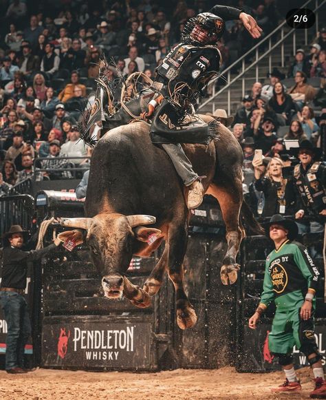 Riding Photography, Rodeo Photography, Pbr Bull Riders, Pbr Bull Riding, Cowboy Photography, Bronc Riding, Cowboy Life, Rodeo Time, Professional Bull Riders