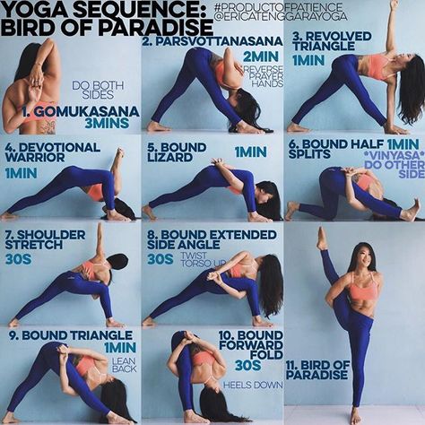 YOGA SEQUENCE: BIRD OF PARADISE Warm up: Sun Salutation A&B x5 each YouTube if unsure 1. GOMUKASANA The secret to not feeling like your shoulder is going to dislocate in a bind is Gomukasana & reverse prayer the 3 mins is going to feel like shit, I understand I'm with you but trust me that everything is going to be ok 2. PARSVOTTANASANA Don't forget the prayer hands k? if it jacks up your wrists just hold onto opposite elbows, I've put the two shittiest parts of the sequence up first so ... Bird Of Paradise Yoga, Sun Salutation A, Childs Pose, Side Crow, Yoga Beginners, Yoga Sequence, Yoga Iyengar, Advanced Yoga, Yoga Moves