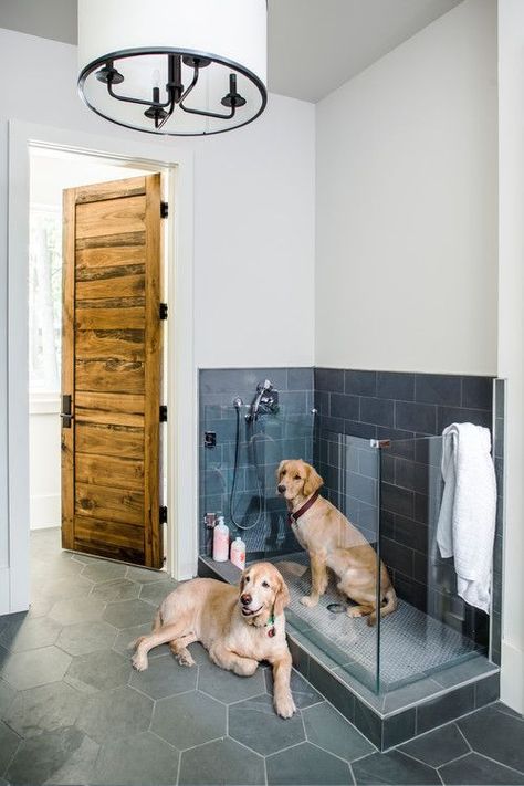 Modern Farmhouse Features: Dog Shower in Bathroom #dogs #forthehome #pets #decor #decoratingideas #homedecor #homedecorideas Pet Washing Station, Pool Diy, Doorless Shower, Rustic Laundry Rooms, Dog Bathroom, Dog Washing Station, Harrison Design, Walk In Shower Designs, Dog Wash