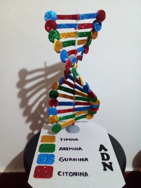 Dnk Model Diy, Dna Model Project Ideas Biology, Dna Model Project Ideas, Dna Paper Model, Dna Structure Model, Dna Double Helix Model, Model Dna, Atom Activities, Dna Model Project