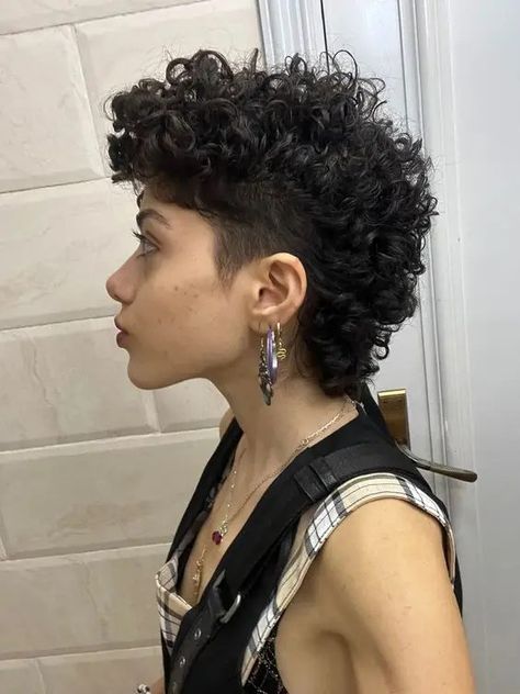 Mullet Haircut Woman Curly, Short Curly Hairstyles Shaved Sides, Curly Shaved Mullet, Curly Mullet With Undercut, Curly Mullhawk, Short Mullet Hairstyle Women Curly, Short Curly Haircuts Shaved Sides, Shaved Curly Hair Women, Shaved Side Hairstyles Curly Hair