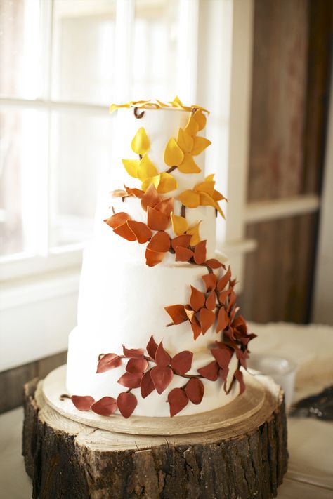 Fall Leaf Cake, Fall Wedding Cupcakes, Leaves Cake, Autumn Wedding Cakes, Fall Leaf Wedding, Ombre Cake, Eclectic Wedding, Outdoor Fall Wedding, Fall Cakes