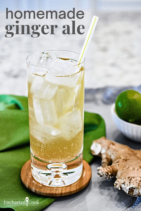 Ginger Soda Drinks, Making Ginger Ale, Ginger Syrup Recipe Homemade, Homemade Ginger Ale Soda, Ginger Soda Recipes, How To Make Ginger Ale, Vernors Ginger Ale, Home Made Ginger Ale, Gingerale Recipes