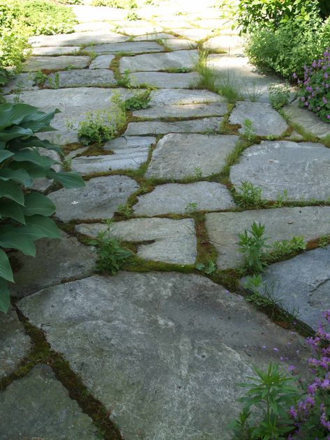 Cut Stone Terrace - Traditional - Landscape - Burlington - by TERRIGENOUS Landscape Architecture | Houzz Frontyard Landscape Layout, Vermont Landscape, Stone Terrace, Wooden Garden Gate, Garden Gate Design, Walkways Paths, Gardening Design, Backyard Landscaping Plans, Garden Stepping Stones