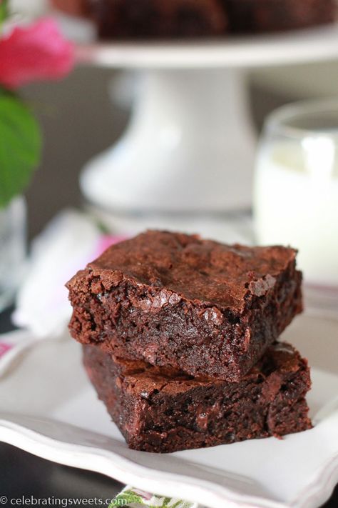 Outrageous Brownies, Celebrating Sweets, Brownie Bites Recipe, Fudgy Brownie, Homemade Brownies, Brownie Bites, Best Brownies, Bar Recipes, Brownie Recipe