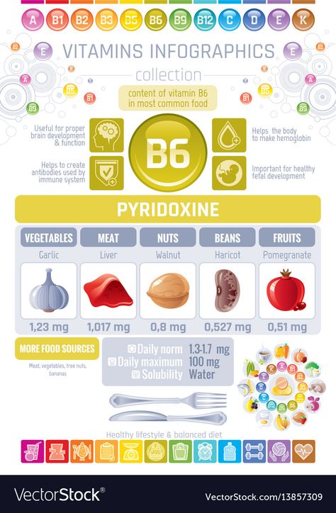 Diet Infographic, Rich Food, Nutrition Sportive, Sport Nutrition, Flat Icons Set, Video Blog, Pantothenic Acid, Vitamin B6, Food Source