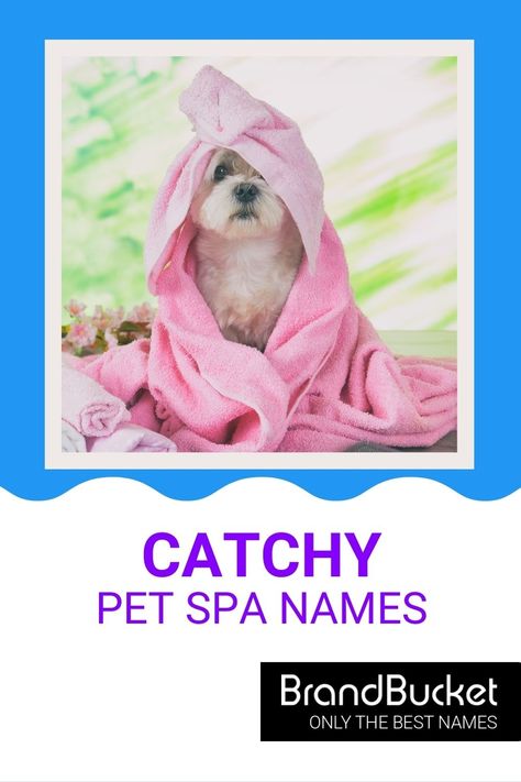 In search of amazing Pet Spa Names? You’ve come to the right place! Here you'll find 50+ catchy brand names for Pet Spas that will have a whole zoo of customers coming to your door! Check out the names now! Pet spa names, pet spa name ideas, pet grooming business names, pet boarding business names, pet grooming salon, pet grooming business, pet grooming van, pet grooming shop, dog grooming, dog grooming salon ideas, cat grooming salon, cat groomer, animal care business, animal caretaker Dog Grooming Business Names, Cat Grooming Salon, Spa Names, Grooming Salon Ideas, Dog Grooming Salon Ideas, Pet Grooming Shop, Pet Grooming Business, Pet Sitting Business, Cat Groomer