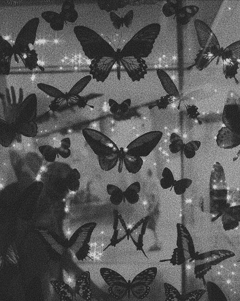 Butterfly Aesthetic Black, Aesthetic Wallpaper Gray, Butterfly Aesthetic, Aesthetic Black And White, Gray Aesthetic, Aesthetic Black, Black And White Aesthetic, Black Aesthetic Wallpaper, Night Aesthetic