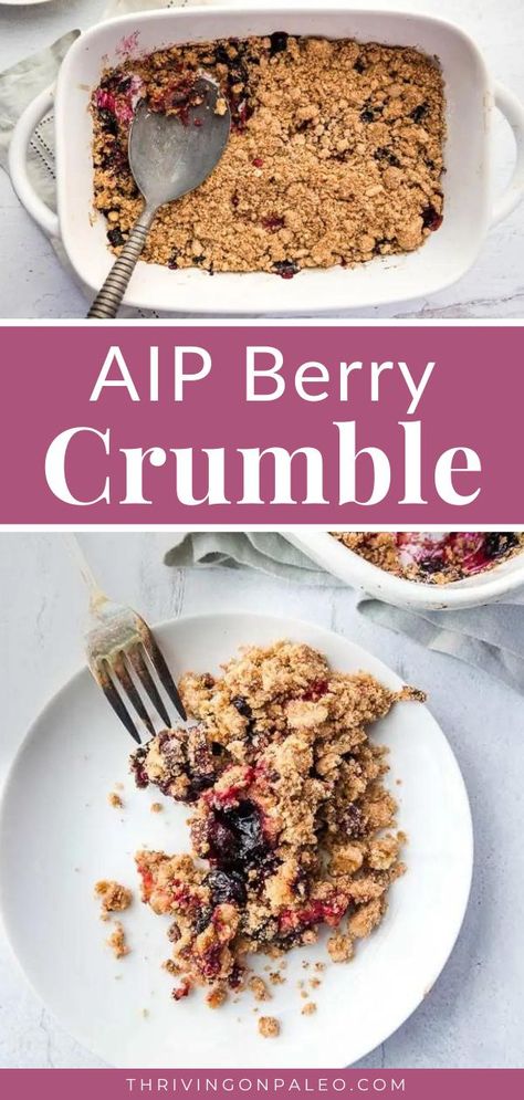 Paleo Berry Crisp, Aip Blackberry Recipes, Easy Aip Dessert Recipes, Aip Apple Crumble, Aip Breakfast Bars, Aip Diet Recipes Dinners, Aip Apple Crisp, Aip Carbs, Paleo Crumble