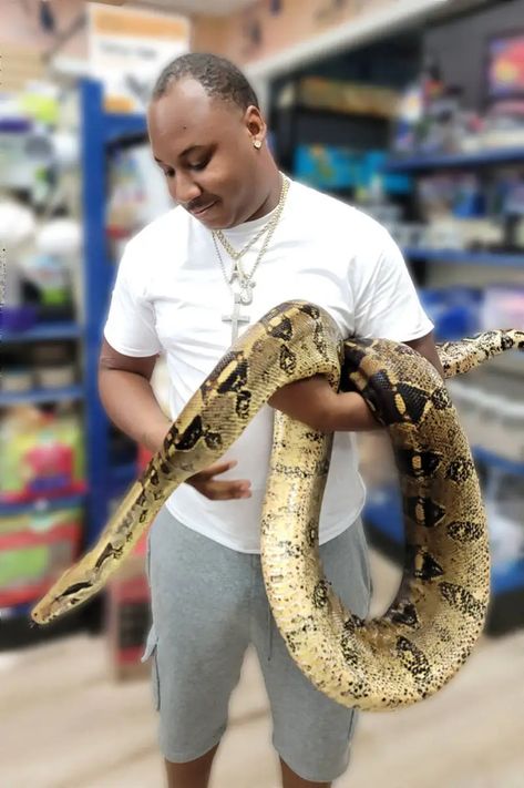 WW #43b Aubrey and Red Tail Boa Red Tailed Boa Constrictor, Red Tailed Boa, Red Tail Boa, Boa Constrictor, Happy Animals, Exotic Pets, Pet Owners, Reptiles, Cute Animals