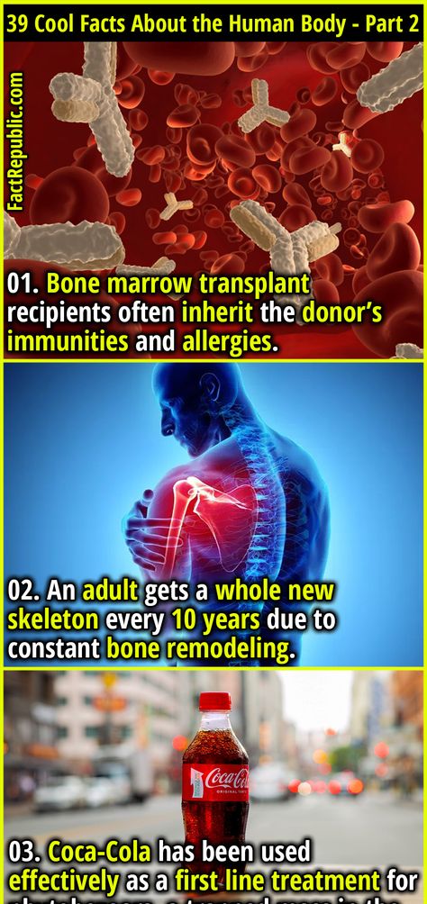 39 Cool Facts About the Human Body That’ll Just Blow Your Mind - Part 2 - Fact Republic Random Useless Facts, Interesting Facts About Humans, Animal Facts For Kids, Disturbing Facts, Science Facts Mind Blown, Fun Facts Mind Blown, Useless Knowledge, Human Body Facts, Facts About Humans