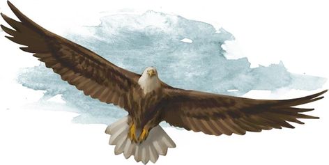 Giant Eagle - Monsters - D&D Beyond Dnd 5e Druid, 5e Druid, Elven Druid, Potion Brewing, Types Of Eagles, Storm Kings Thunder, Stat Block, Rpg Character Art, Animation Concept Art