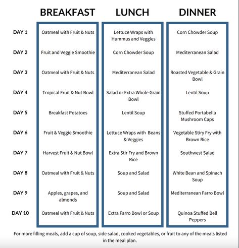 10 Day Daniel Fast Meal Plan — Daniel Fast Journey Fruit Fasting Meal Plan, Daniel Fast Bible Study, 10 Day Daniel Fast, Daniel Fast Recipes 21 Day Meal Plan, Daniel Fast Recipes Breakfast, 10 Day Meal Plan, Daniels Diet, Daniel Fast Snacks, Daniel Fast Food List