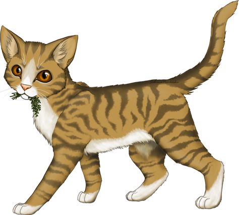 warrior cats-Leafpool!!! Warrior Cats Quotes, Light Ginger, Ginger Tabby, Gray Tabby, Warrior Cats Books, Amber Eyes, Warrior Cat Drawings, New Warriors, White Chest