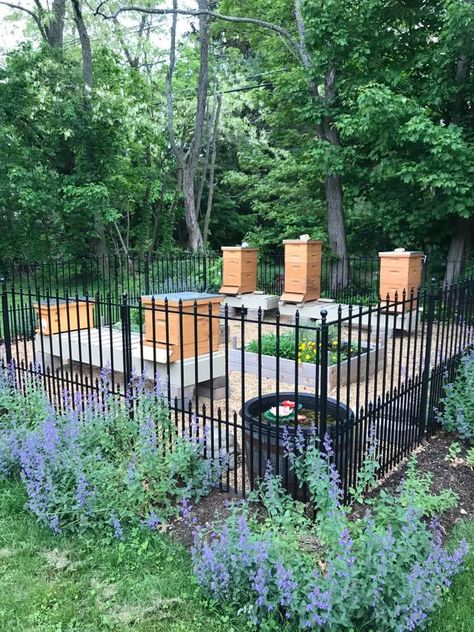 Raised Flowerbed, Hive Stands, Apiary Design, Bee Hive Stand, Honey Bees Keeping, Pollinator Garden Design, Honey Bee Garden, Backyard Bee, Raising Bees