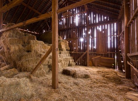 Old Farmhouse Interior, Farm Backdrop, Barn Backdrop, Hay Storage, Horse Hay, Barn Photography, Barn Interior, Wooden Barn, Wooden Sheds