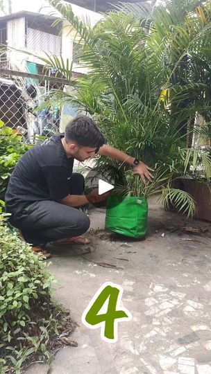 Mere Mehboob, Gardening Tricks, Liquid Fertilizer, Organic Fertilizer, Farm Gardens, Organic Gardening, Gardening Tips, Soil, Plants