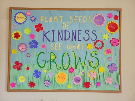 March Kindness Bulletin Board, Kindness Display Board, Seeds Of Kindness Bulletin Board, Kindness Week Bulletin Board, Spring Counseling Bulletin Board, Plant Kindness Bulletin Board, Plant Seeds Of Kindness Bulletin Board, Kindness Door, March Bulletin Board Ideas