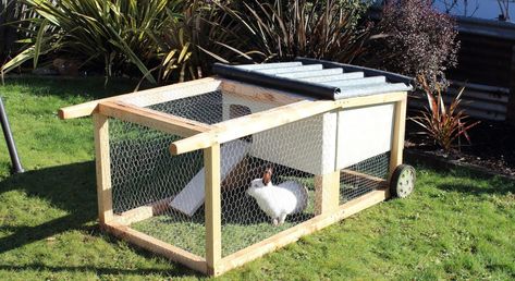 Field Fencing, Diy Rabbit Hutch, Outdoor Rabbit Hutch, Meat Rabbits, Bunny Hutch, Diy Bunny, Rabbit House, Rabbit Cages, Rabbit Run