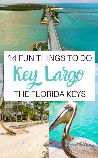 19 Fun Things to do in Key Largo. John Pennekamp Coral Reef State Park, Cannon Beach, Far Beach, Spiegel Grove Wreck, Doplin Plus Bayside Key Largo Restaurants, Key West Florida Vacation, Florida Keys Road Trip, Key Largo Florida, Key West Vacations, Fl Keys, Travel Florida, Florida Destinations, The Florida Keys