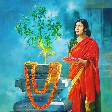 Hello #tulsivivah is one of the ancient #festival and #culture in #hindu #sanatandharma.  According to #shivpurana and other #puranas  Vrinda was wife of #jalandhar (ansh of Shiva). She was a pious woman who worshipped her husband as God with all love.  An interesting story turns Vrinda to Tulsi. Such a pure soul being a wife of Shiva's ansh, why she is married to Krishna (incaranation of Vishnu) every year on this day of Kartik maasa (Vikram sanvatsara Calendar) To know Read Comment. Tulsi Mata, Tulsi Vivah, Hindu Worship, Buddhist Art Drawing, Indian Women Painting, Hindu Culture, Lord Vishnu Wallpapers, Love Animation Wallpaper, Hinduism Art