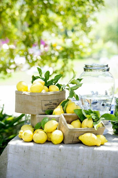 Lemon Table Decor, Lemon Themed Party, Lemon Themed Bridal Shower, Lemon Decor, Lemonade Stand, Lemon Tree, Bridal Shower Theme, Decoration Table, Summer Party