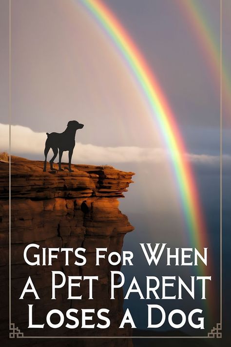 Silhouette of a dog standing on a cliff with a double rainbow and the caption "Gifts for When a Pet Parent Loses a Dog". Pet Memorial Gift Ideas, Pet Memorial Ideas, Memorial Gift Ideas, Loss Of A Dog, Dog Memorial Stone, Dog Sympathy Gifts, Dog Urns, Dog Remembrance, Dog Sympathy