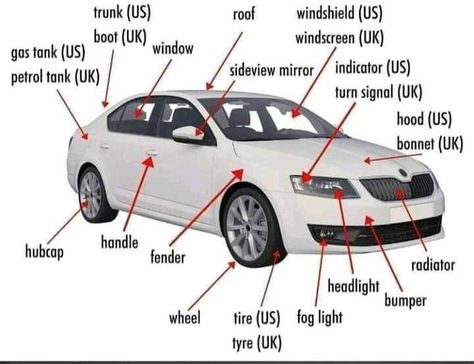 Bmw Jeep, All Traffic Signs, Learning To Drive Tips, New Hyundai Cars, Car Learning, Driving Basics, Cars Toyota, Learn English For Free, Anatomy Bones