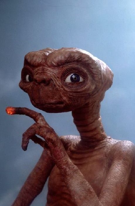 E.T. the Extra-Terrestrial (1982)- I still have the life size stuffed animal. Life Size Stuffed Animals, Dee Wallace, Portfolio Pictures, Et The Extra Terrestrial, Scary Characters, Modern Talking, Extra Terrestrial, Knight Rider, Steven Spielberg