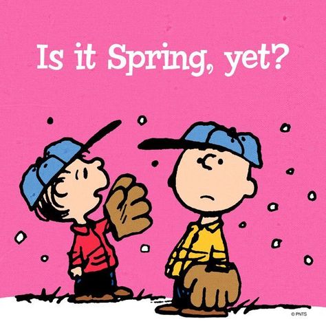 Is it Spring Yet quotes spring quote winter charlie brown spring quotes spring countdown Charlie Brown Cartoon, Charles Shultz, Baseball Memes, Peanuts Quotes, Brown Cartoon, Charlie Brown Quotes, Is It Spring Yet, Peanuts Cartoon, Snoopy Quotes