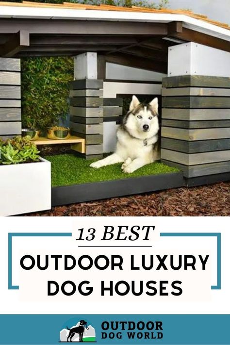 Best luxury dog houses on the market Luxury Dog House, Luxury Dog Kennels, Outdoor Dog House, Outdoor Luxury, Dog Kennel Outdoor, Easy Backyard, Luxury Dog, Outdoor Dog, Dogs Of The World