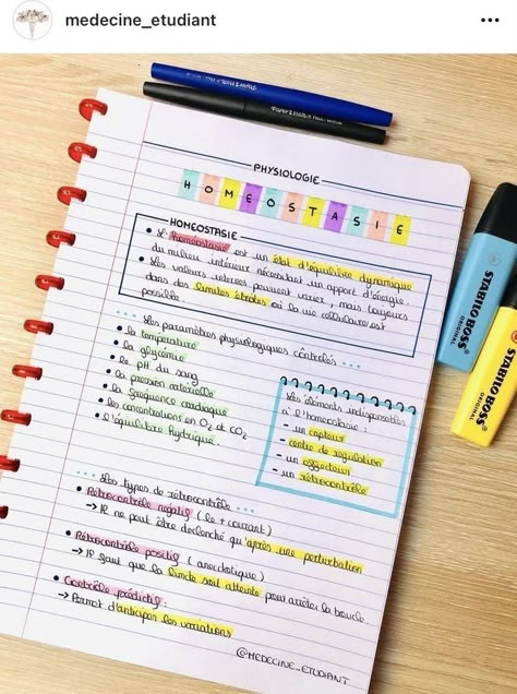 Aesthetic Notes Questions And Answers, Sistem Saraf, خريطة ذهنية, Mind Map Design, Organization Notes, Lettering Guide, Bullet Journal Cover Ideas, Bullet Journal Mood Tracker Ideas, Bullet Journal Notes