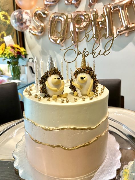 Birthday Cake Hedgehog, Cake With Hedgehog, Hedgehog Themed Birthday Party, Hedgehog Birthday Party, Hedgehog Cake Ideas, Hedgehog Party Ideas, 20th Bday Cake, Hedgehog Cupcakes, Hedgehog Birthday Cake