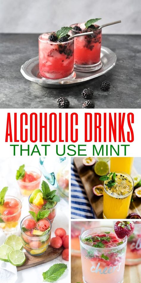 Mint Alcoholic Drinks, Alcohol Drinks Recipes, Low Carb Vodka Drinks, Easy Mojito Recipe, Easy Party Drinks, Julep Recipe, Mint Drink, Yummy Summer Drinks, Champagne Recipes Cocktails