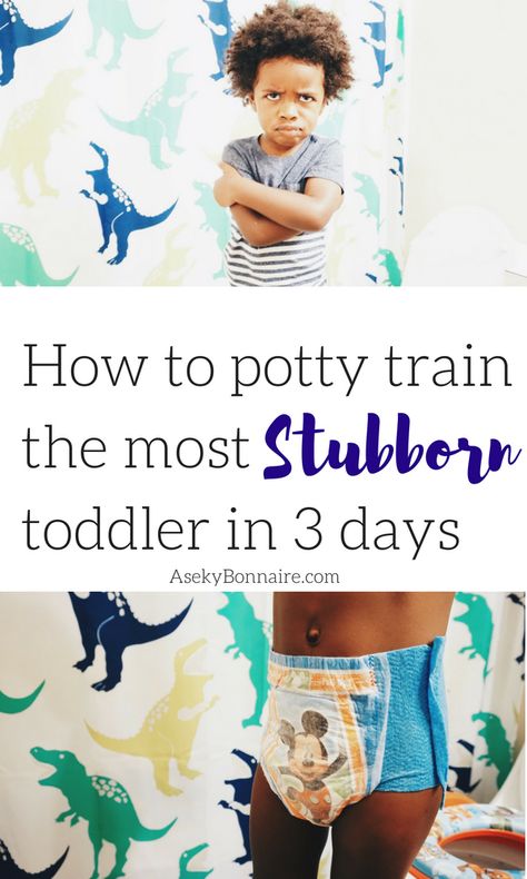 Potty Training a STUBBORN toddler Potty Training Stubborn Boys, Training Meme, Potty Training Sticker Chart, Potty Training Schedule, Potty Training Stickers, Potty Training 101, Potty Training Methods, Potty Training Help, Boys Potty