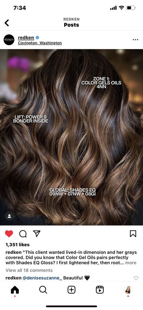 Brunette Formulas, Redken Color Formulas, Redken Toner, Wella Formulas, Color Formulations, Redken Formulas, Toner Formulas, Redken Color Gels, Hair Formulas