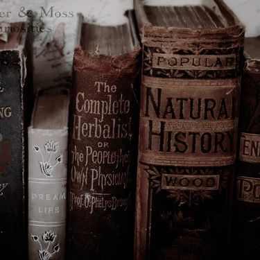 Herbalist Aesthetic Dark, Dark Herbalist Aesthetic, Healer Aesthetic Harry Potter, Healer Oc, Hedge Witch Aesthetic, High Elves Dnd, Forbidden History, Slytherin Vibes, Aesthetic Royal