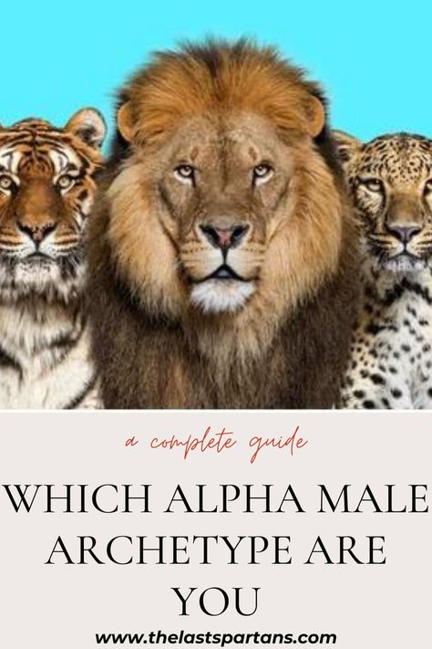 Before diving into the topic of "Which Alpha Male Are You?", it is essential to understand what being an alpha male means. The term "alpha male" is used to describe men who exhibit dominant, confident, and assertive behaviour, and are seen as leaders in social and professional settings. Alpha males are known for their charisma, physical strength, and intelligence, and are often admired by others. Alpha Males, Physical Strength, Mens Lifestyle, Diving, Physics