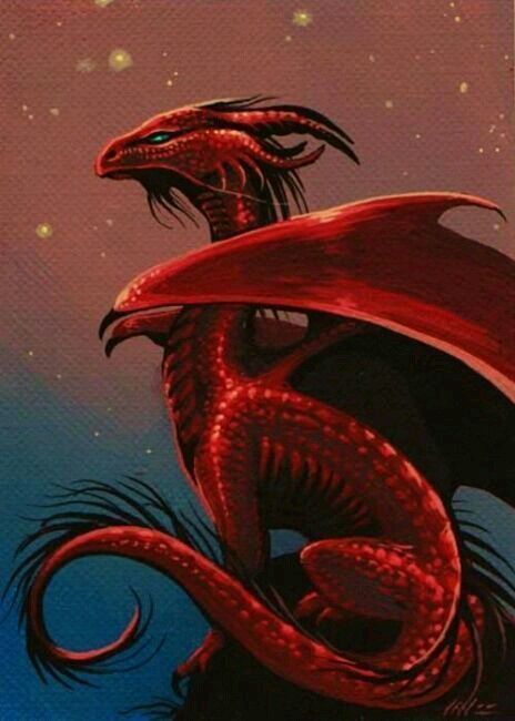 Dragon Rouge, Yin Yang Tattoos, Dragon's Lair, Cool Dragons, Fairy Dragon, Beautiful Dragon, Dragon Pictures, Dragon Artwork, Fire Dragon