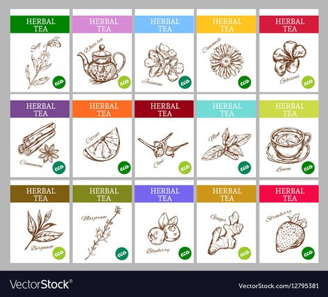 Sage Tea, Tea Labels, Black Tea Leaves, Ceylon Tea, Green Cups, Product Packaging Design, Kaffir Lime, Vector Sketch, Lemon Tea