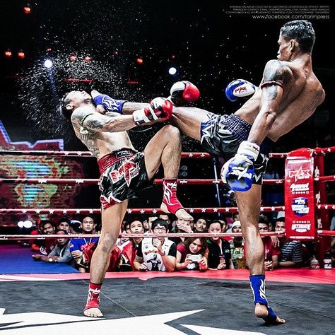 Boxe Thai Boxing Reference, Muay Thai Art, Martial Arts Photography, Crazy Face, Boxe Thai, Action Pose Reference, Male Pose Reference, Anatomy Poses, Martial Arts Workout