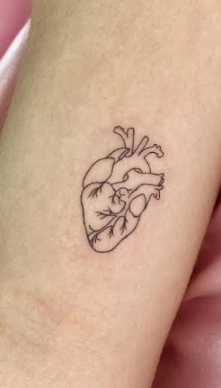 Human Heart Tattoo Designs, Human Heart Tattoo, Heart Tattoo Designs, Human Heart, Tattoo Designs For Women, Heart Tattoo, Tattoo Designs, Human, Tattoos