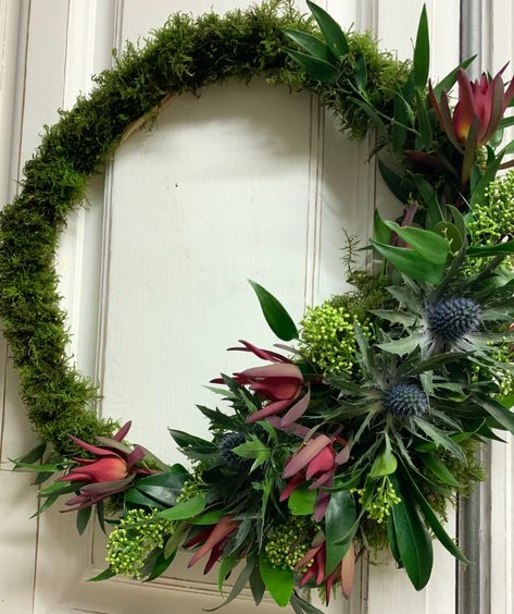 Festive moss hoop with asymmetrical posy using skimmia, thistle and leucadendron, #festive #moss #mossart #hoop #christmas #christmasdecor #christmascrafts #bloominchicflorist #wreaths #natural #floral #floraldesign #christmaswreaths Christmas Reef, Red Christmas Wreath, Moss Art, Green Wreath, Red Christmas, Christmas Wreaths, Floral Wreath, Floral Design, Christmas Crafts