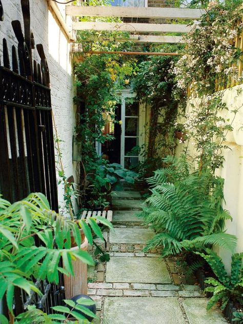 Troubleshooting ideas for a problematic narrow garden space.  Shaded Garden Space Ideal for Feathery Ferns The space below overhead wooden beams in this narrow garden is the perfect place for feathery ferns and trailing plants that tumble over the garden wall. Side Return Garden, Alley Way, Lots Of Plants, Narrow Garden, Hgtv Garden, Small Courtyard Gardens, Courtyard Gardens Design, Garden Vines, Walled Garden