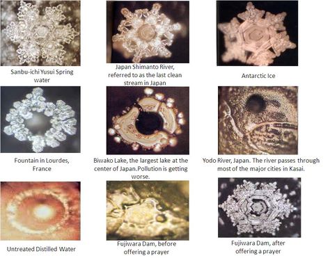 masuru emoto's water crystals.Ever wondered what negativity produces and what positive thoughts can do. Masaru Emoto Water, Water Crystals, Masaru Emoto, Water Experiments, Structured Water, Energy Therapy, Create Reality, The Mind's Eye, Water Pictures