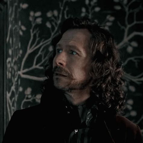 sirius black aesthetic icon Sirius Black Gary Oldman, Harry Potter Sirius, Remus And Sirius, Harry Potter Artwork, Hogwarts Aesthetic, Harry Potter Actors, Harry Potter Fanfiction, Gary Oldman, Harry Potter Cast