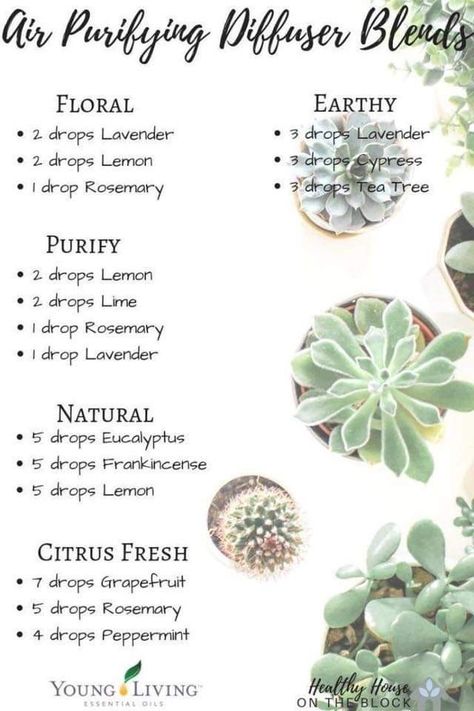 Lilin Aroma, Essential Oil Combinations, Doterra Essential Oils Recipes, Magia Das Ervas, Essential Oil Diffuser Blends Recipes, Young Living Essential Oils Recipes, Essential Oils Guide, Essential Oil Diffuser Recipes, Yl Essential Oils